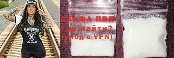 дмт Бородино