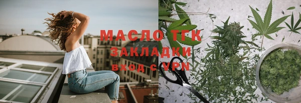 дмт Бородино