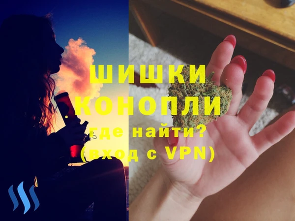 стаф Богородск