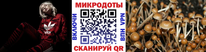 Галлюциногенные грибы Psilocybine cubensis  купить закладку  площадка официальный сайт  Бирюч 